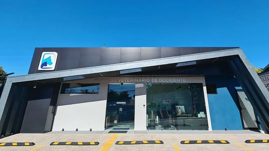 Fachada del Hospital Veterinario de Occidente: edificio gris con el logotipo sobre la entrada y parqueo al frente